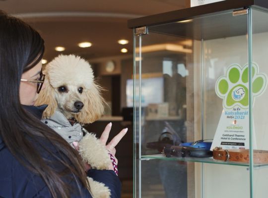 Kutyabarát szolgáltatások