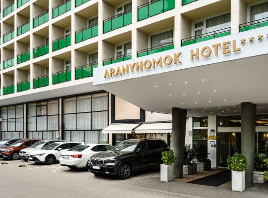 Aranyhomok Business-City-Wellness Hotel