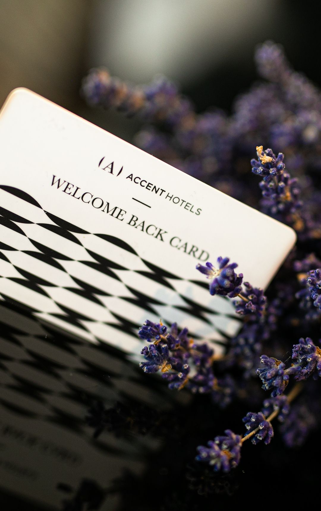 Törzsvendégprogram